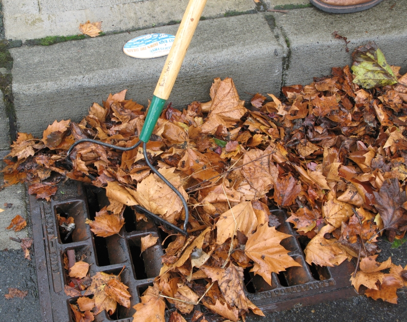 How To Keep Drain From Clogging With Leaves Best Drain Photos