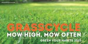 grasscycle-twitter