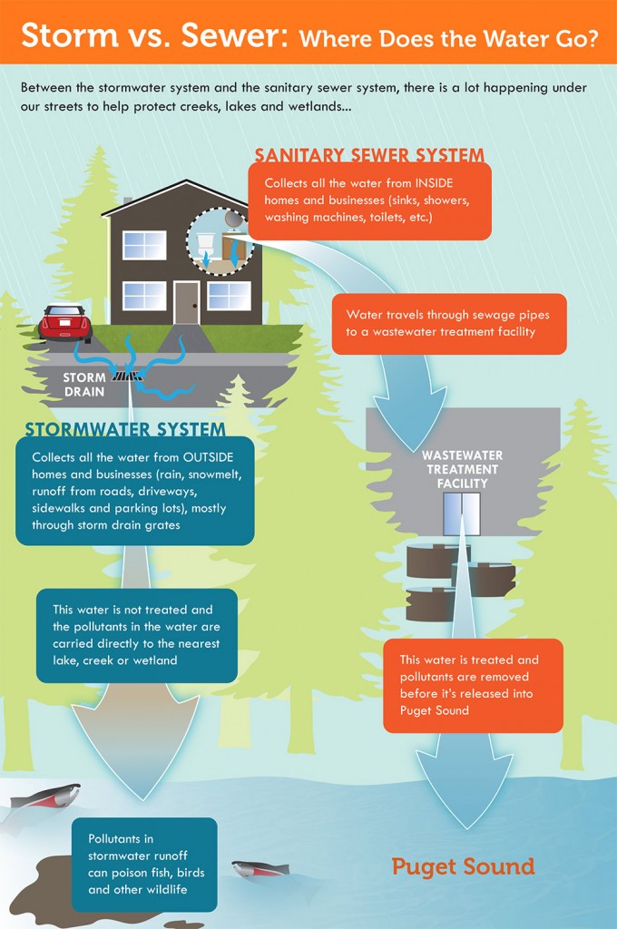 how water flows through stormwater pipes versus sewer system