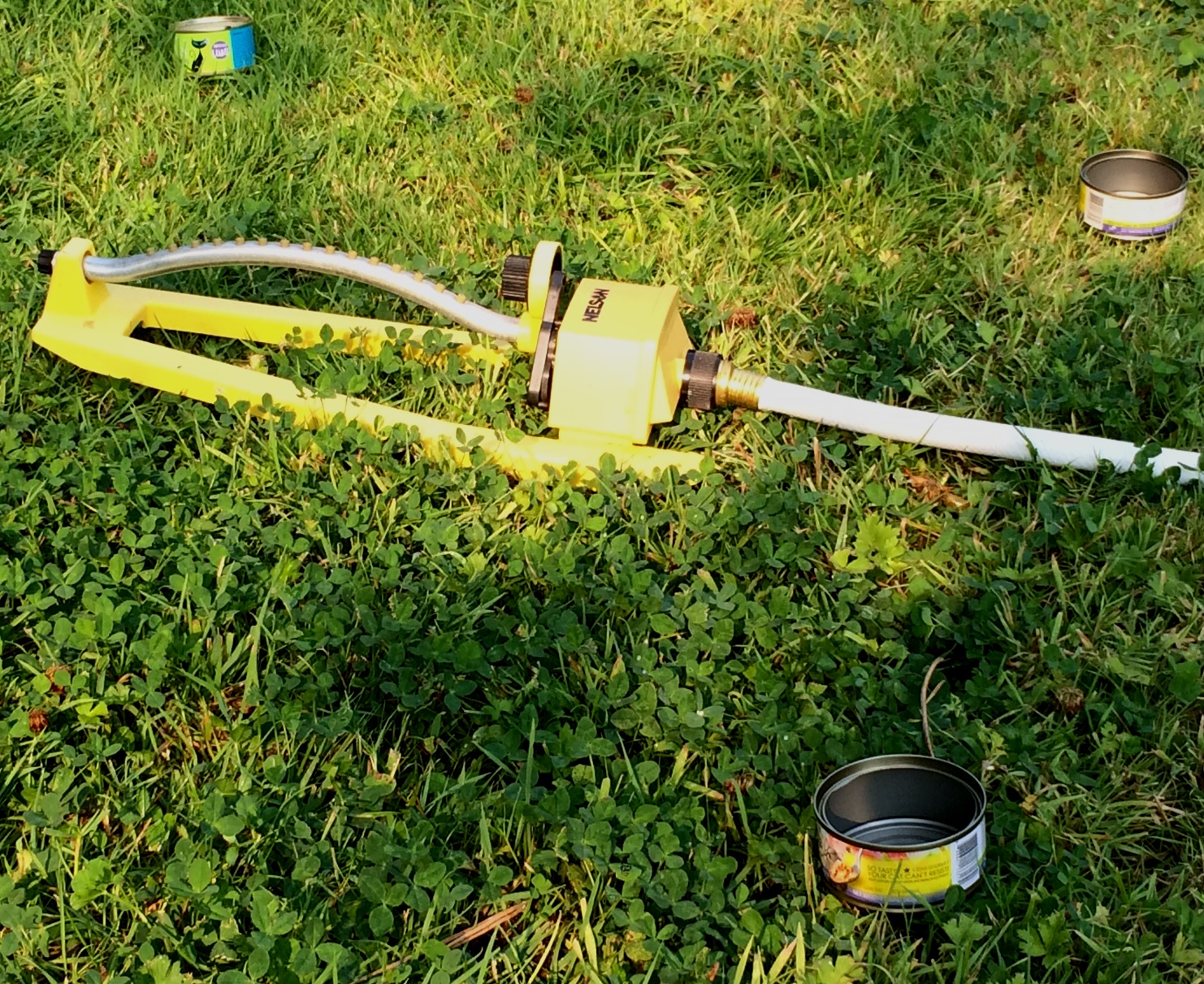 Don’t Stress Out about Your Lawn this Summer Kirkland Environmental Services