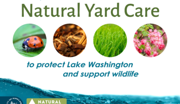 We practice Natural Yard Care to protect Lake Washing and support wildlife.