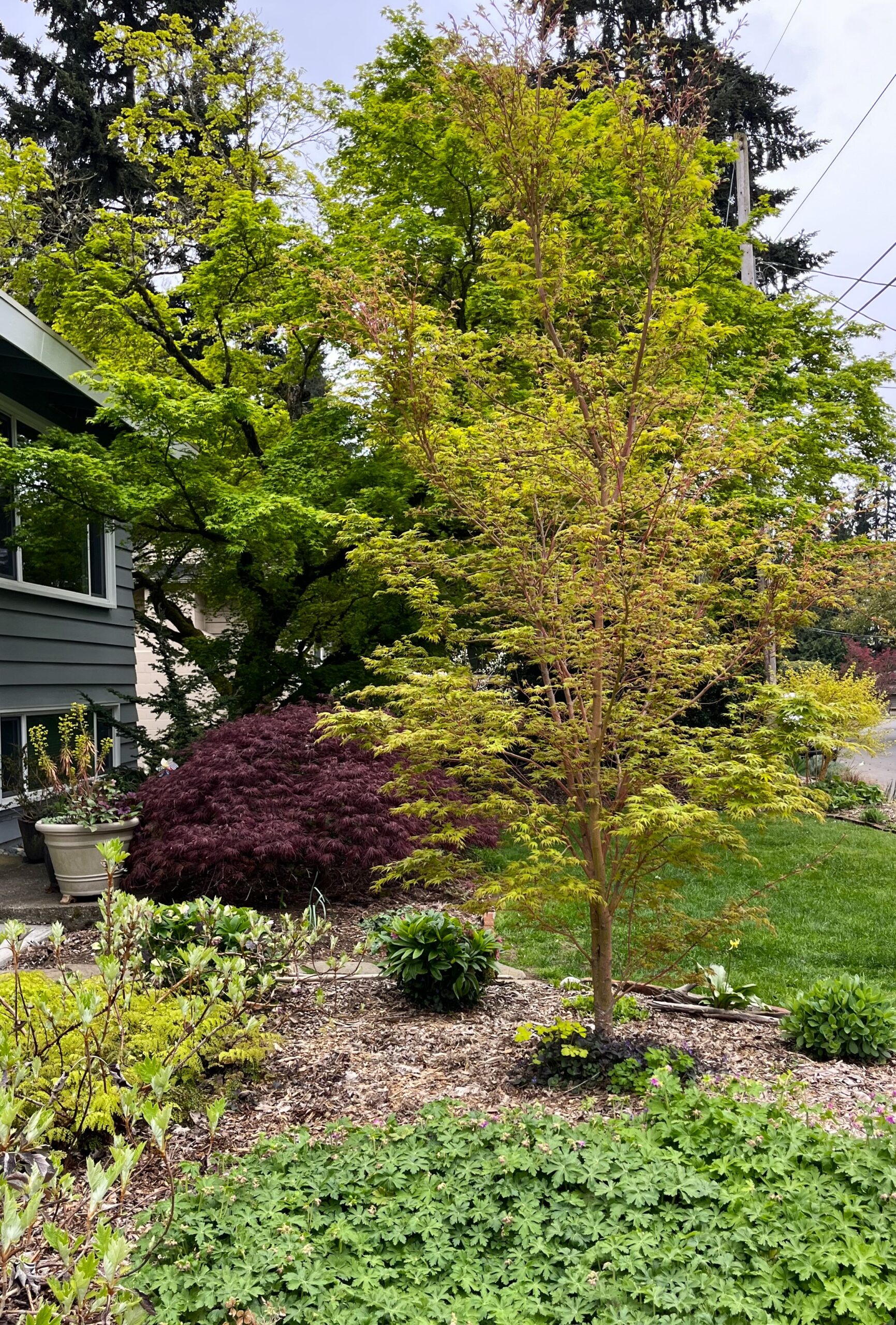 Natural Yard Care Ambassador Shannon Radley talks soil building