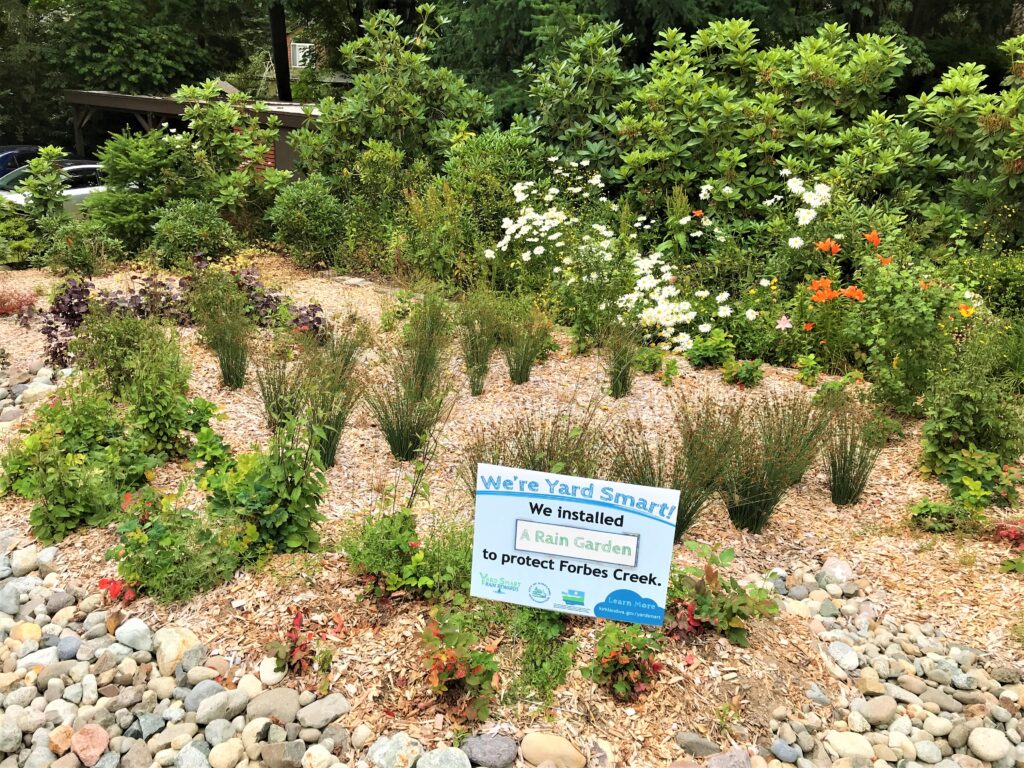 A rain garden full of native plants. A sign in the front reads "We're Yard Smart! We installed a rain garden to protect Forbes Creek."