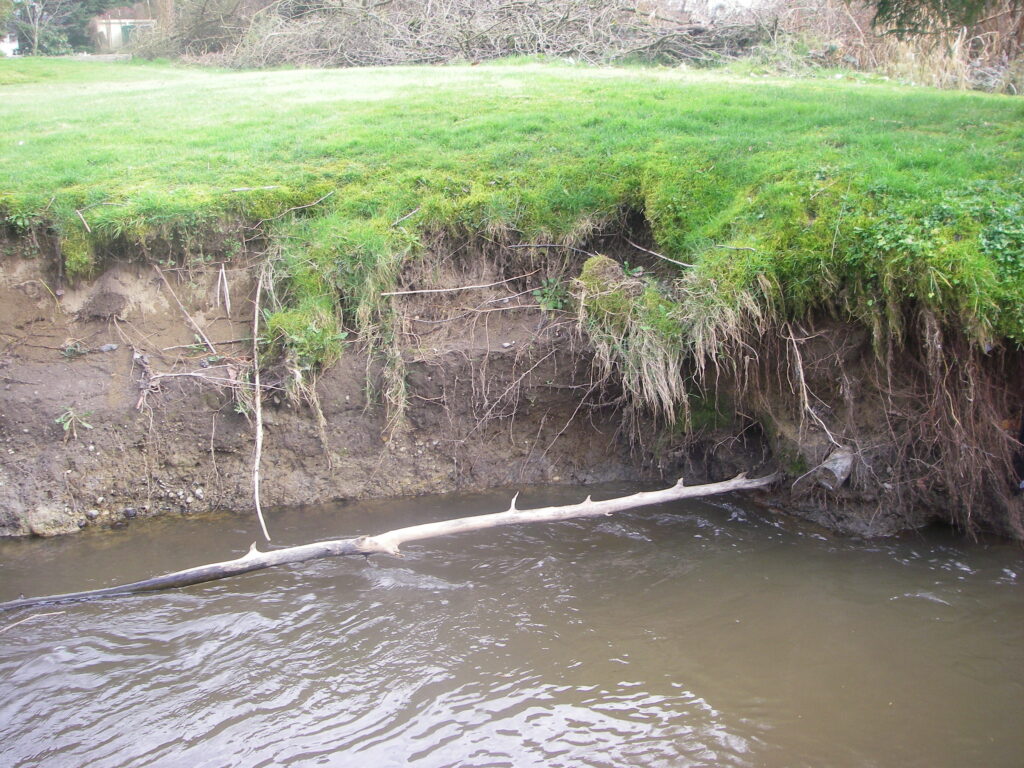 A steeply eroded stream bank