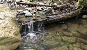 A small waterfall on a creek
